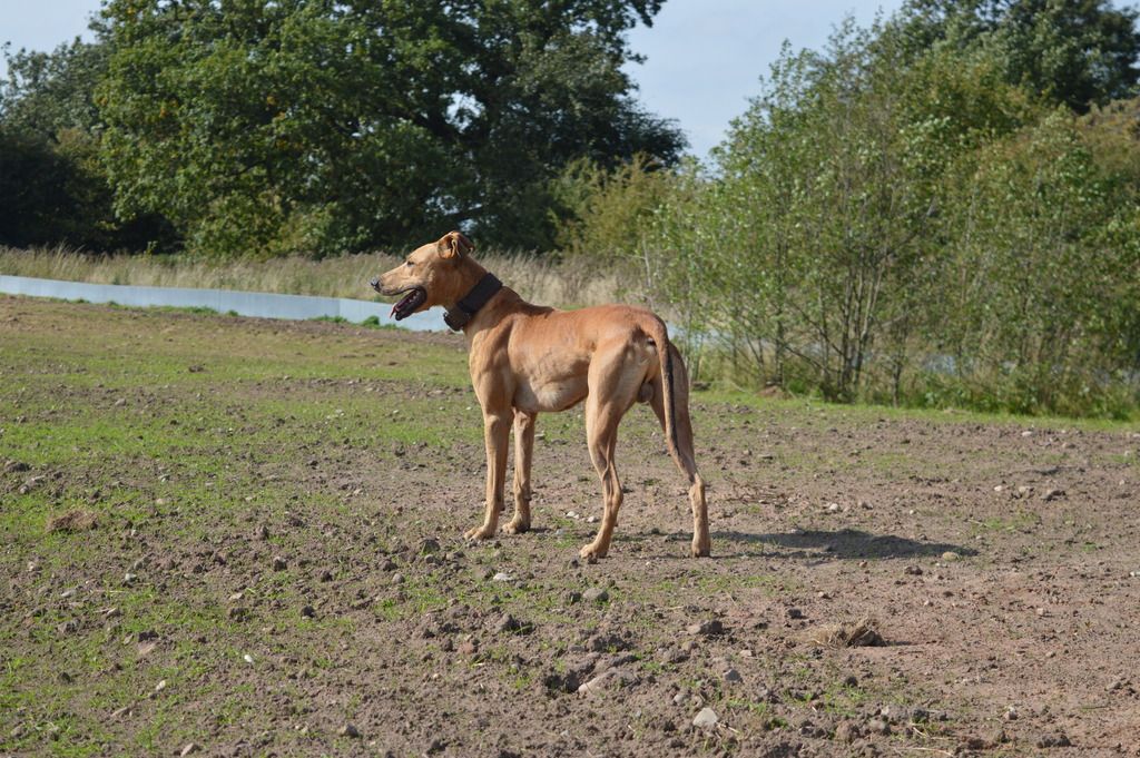 DSC_1000_zpsxo6a4tfx.jpg
