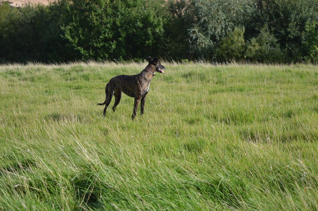 DSC_1037_zpsrajmpmif.jpg