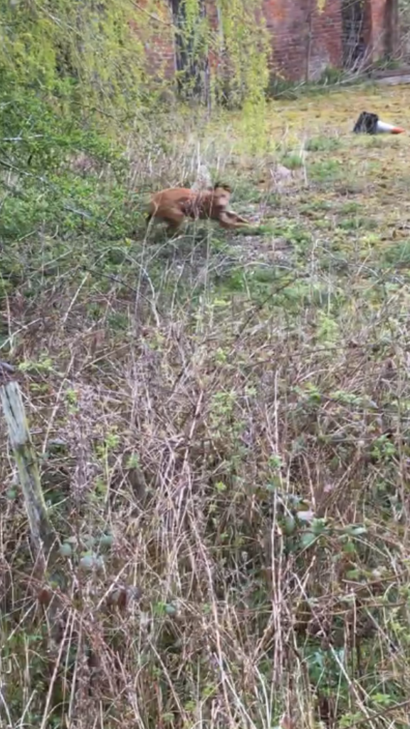 EC5CF65A-120A-4F64-9787-632C430F658E_zps