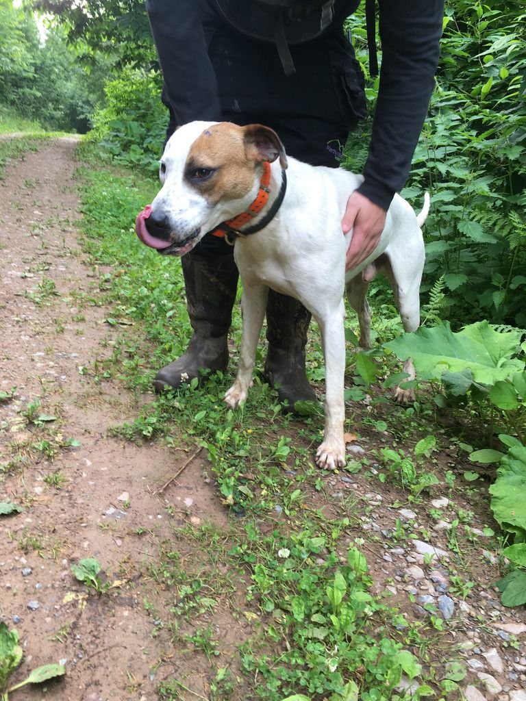 ECC5BC3E-CB5D-492A-879B-8E7714B2C988_zps