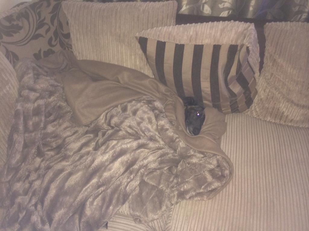 EEC21B03-72C7-417F-933C-DBB1D48FF0D8_zps