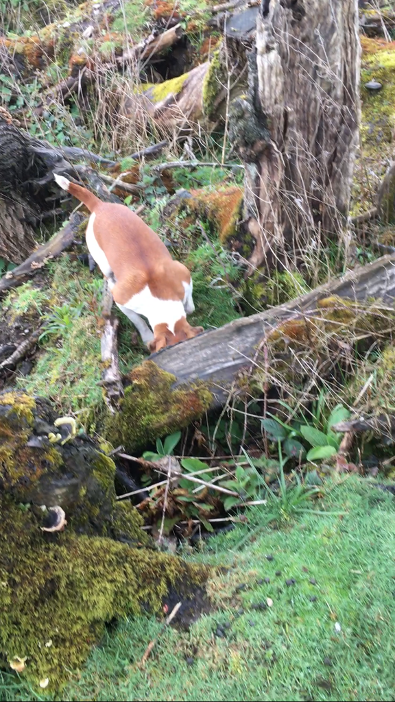 FFF57650-F935-4867-A253-8BD15191906E_zps