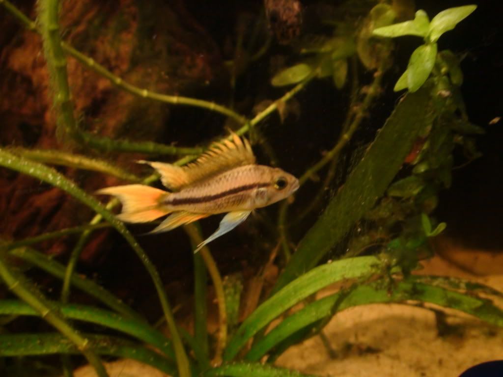 DSC04082.jpg