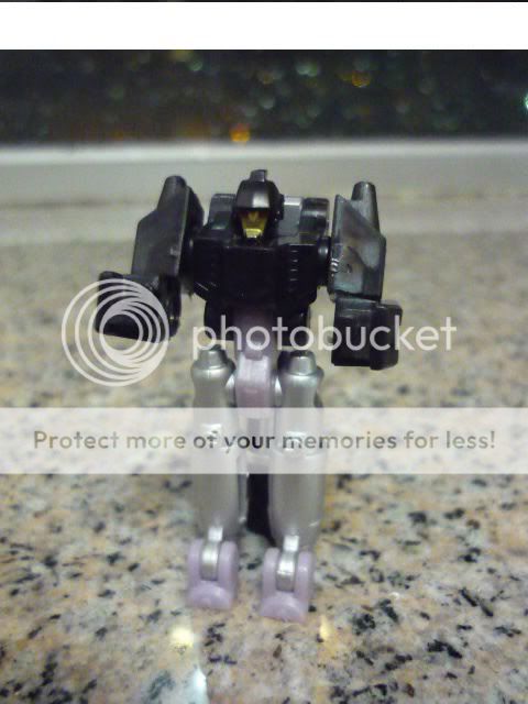 Transformers 2010 ACG HK Classic Hot Rodimus Protector  