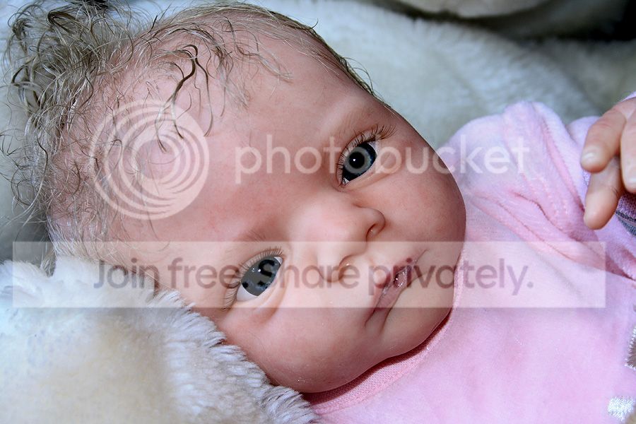 https://i1143.photobucket.com/albums/n634/NiceDreamsNursery/Kyra/111a.jpg