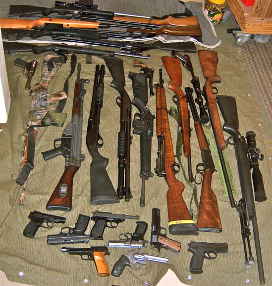 Building a firearm collection for preparedness (Total) | Mountain ...